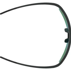 Alpina - Eagle Q-Lite S2 - Sonnenbrille