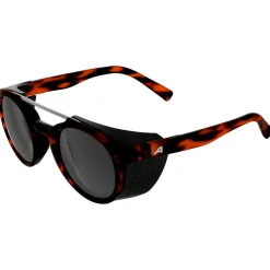 Alpina - Glace S3 - Gletscherbrille