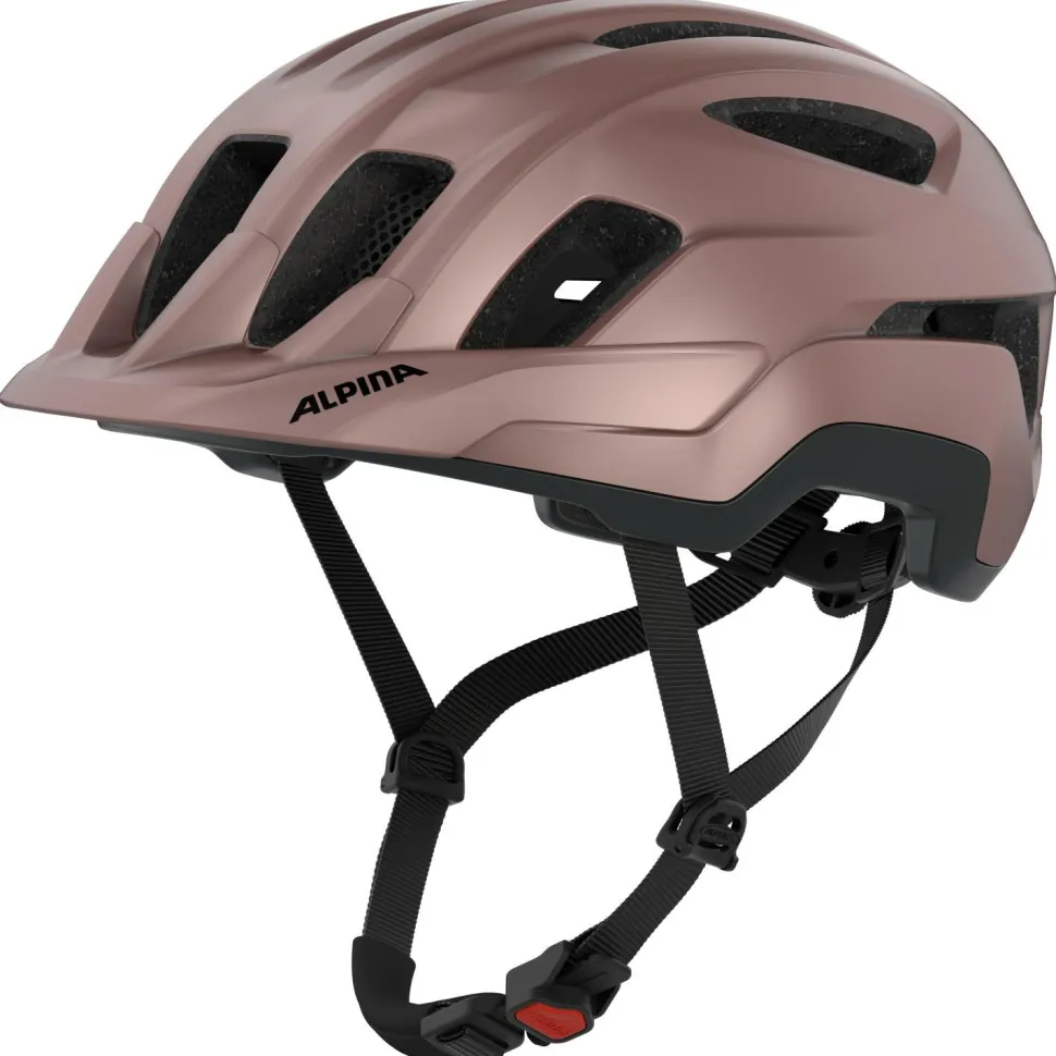 Alpina - Paranus - Radhelm