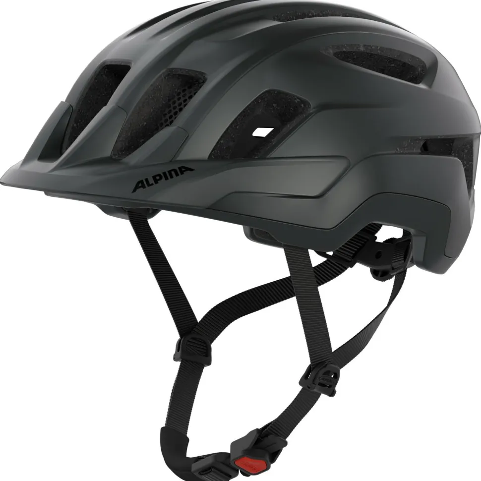 Alpina - Paranus - Radhelm