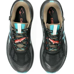 Asics - Trabuco 14 GTX - Trailrunningschuhe