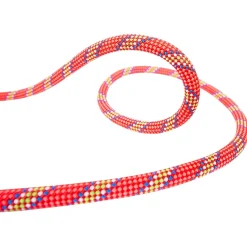 Beal - Tiger 10 mm Golden Dry - Einfachseil