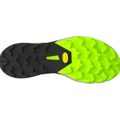 Dynafit - Alpine DNA 2 - Trailrunningschuhe