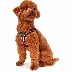 Hunter - Harness Hilo Comfort - Hundegeschirr