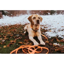 Hunter - Suchleine Convenience - Hundeleine