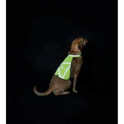 Hunter - Warnweste reflektierend - Hundemantel