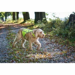 Hunter - Warnweste reflektierend - Hundemantel