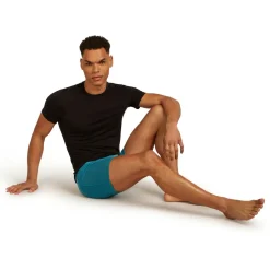 Icebreaker - Anatomica Boxers - Merinounterwäsche