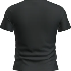 Icebreaker - Women's Merino 200 Tech Lite S/S Crop Slim Tee - Merinoshirt
