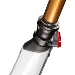 Lupine - C14 SP - Rücklicht