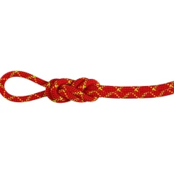 Mammut - 8.0 Alpine Core Protect Dry Rope - Halbseil