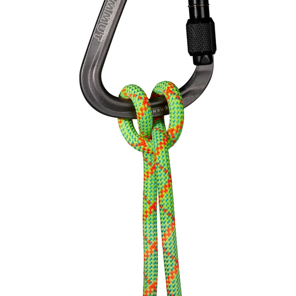 Mammut - 8.0 Alpine Core Protect Dry Rope - Halbseil