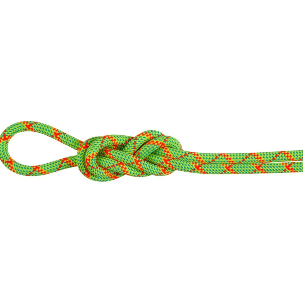 Mammut - 8.0 Alpine Core Protect Dry Rope - Halbseil