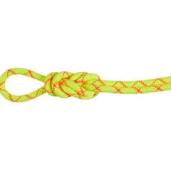 Mammut - 9.5 Alpine Core Protect Dry Rope - Einfachseil