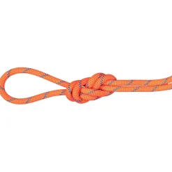 Mammut - 7.5 Alpine Sender Dry Rope - Halbseil