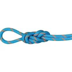 Mammut - 8.7 Alpine Sender Dry Rope - Einfachseil