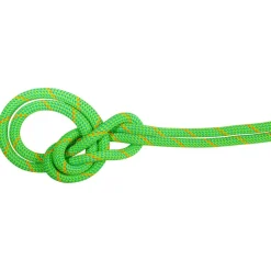 Mammut - 9.5 Crag Dry Rope - Einfachseil
