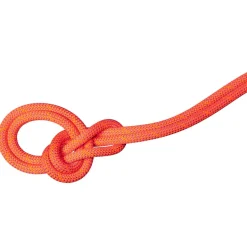 Mammut - 9.8 Crag Dry Rope - Einfachseil