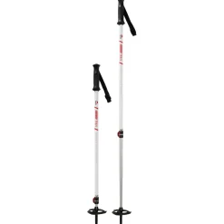 MSR - DynaLock Trail Poles - Skitourenstöcke