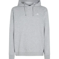 O'Neill - Small Logo Hoodie - Hoodie