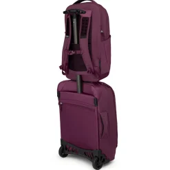 Osprey - Ozone Laptop Backpack 18 - Daypack