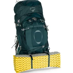 Osprey - Women's Ariel Plus 70 - Trekkingrucksack