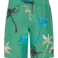Protest - Kid's PRTBrandon - Boardshorts