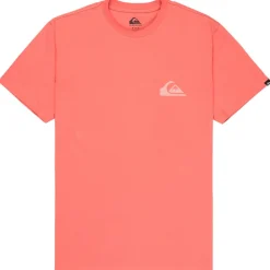 Quiksilver - EV Mini Logo S/S - T-Shirt