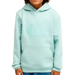 Quiksilver - Kid's Comp Logo Hoodie - Hoodie