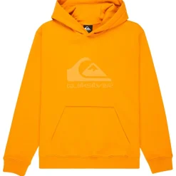 Quiksilver - Kid's Comp Logo Hoodie - Hoodie