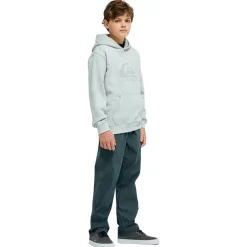 Quiksilver - Kid's Comp Logo Hoodie - Hoodie