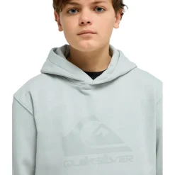 Quiksilver - Kid's Comp Logo Hoodie - Hoodie
