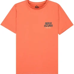 Quiksilver - Kid's Fruits Tide S/S - T-Shirt