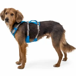 Ruffwear - Flagline Harness - Hundegeschirr