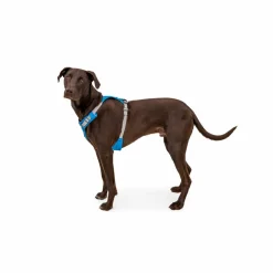 Ruffwear - Hi & Light Harness - Hundegeschirr