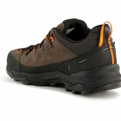 Salewa - Alp Trainer 2 GTX - Multisportschuhe