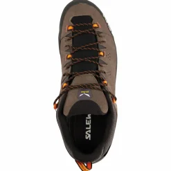 Salewa - Alp Trainer 2 GTX - Multisportschuhe