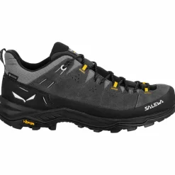 Salewa - Alp Trainer 2 GTX - Multisportschuhe