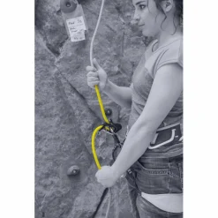 Salewa - Ergo Belay System - Sicherungsgerät