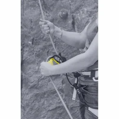 Salewa - Ergo Belay System - Sicherungsgerät