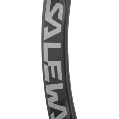 Salewa - Ortles Bent Carabiner - Schnappkarabiner