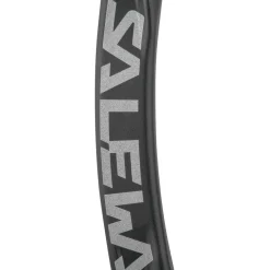 Salewa - Ortles Straight Carabiner - Schnappkarabiner