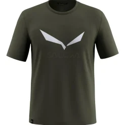 Salewa - Solidlogo Dry T-Shirt - Funktionsshirt