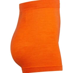 Salewa - Zebru Fresh AMR Boxer - Merinounterwäsche