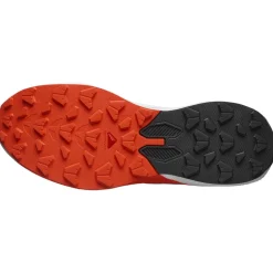 Salomon - Pulsar - Trailrunningschuhe