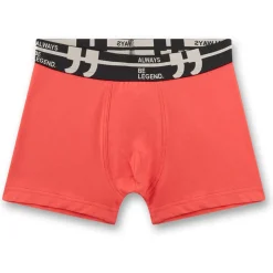 Sanetta - Kid's Set Shorts 349400 5-Pack - Unterhose