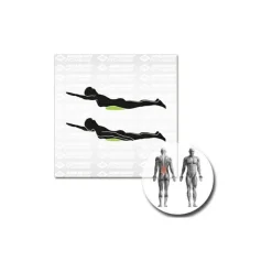 Schildkröt Fitness - Balance-Kissen Inflatable