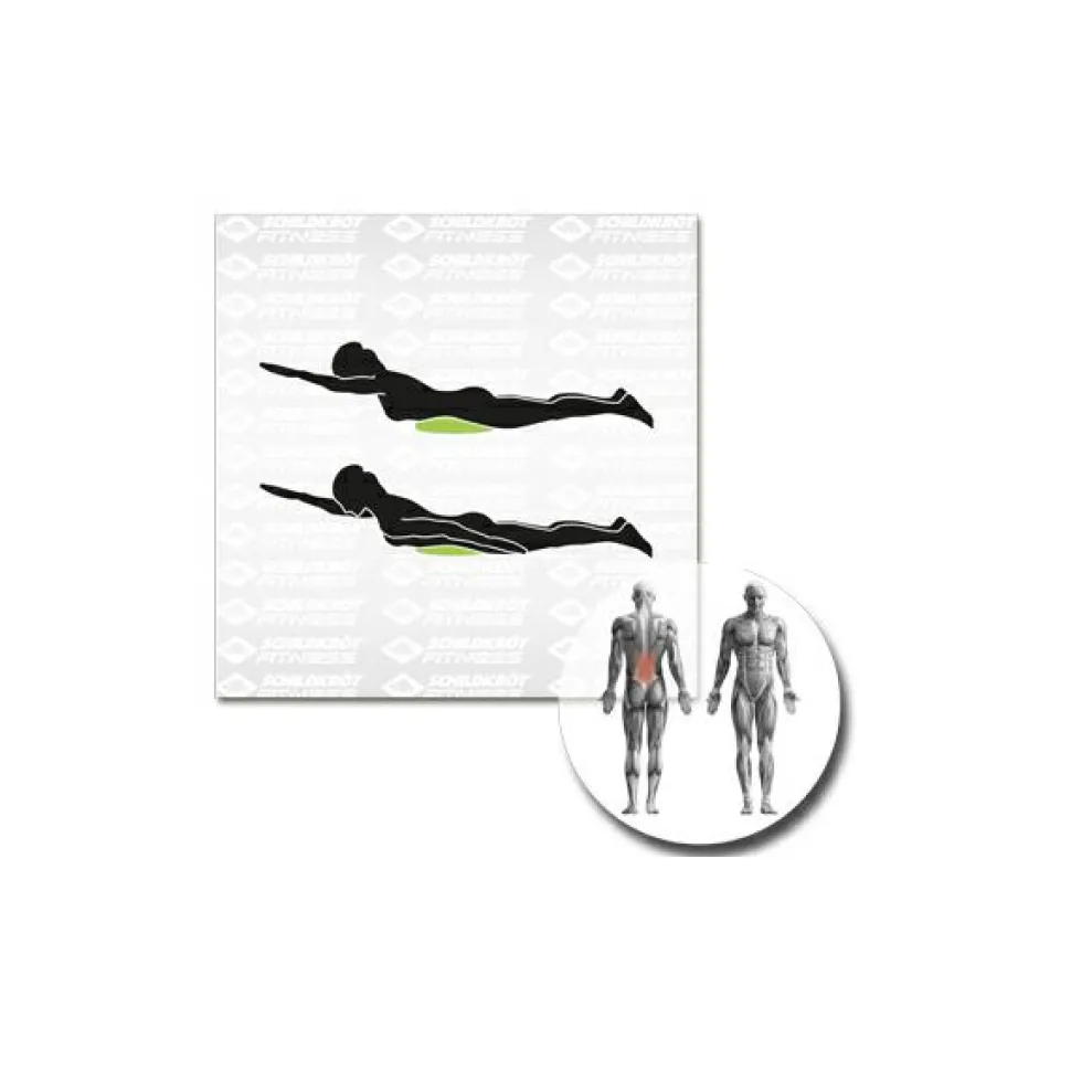 Schildkröt Fitness - Balance-Kissen Inflatable